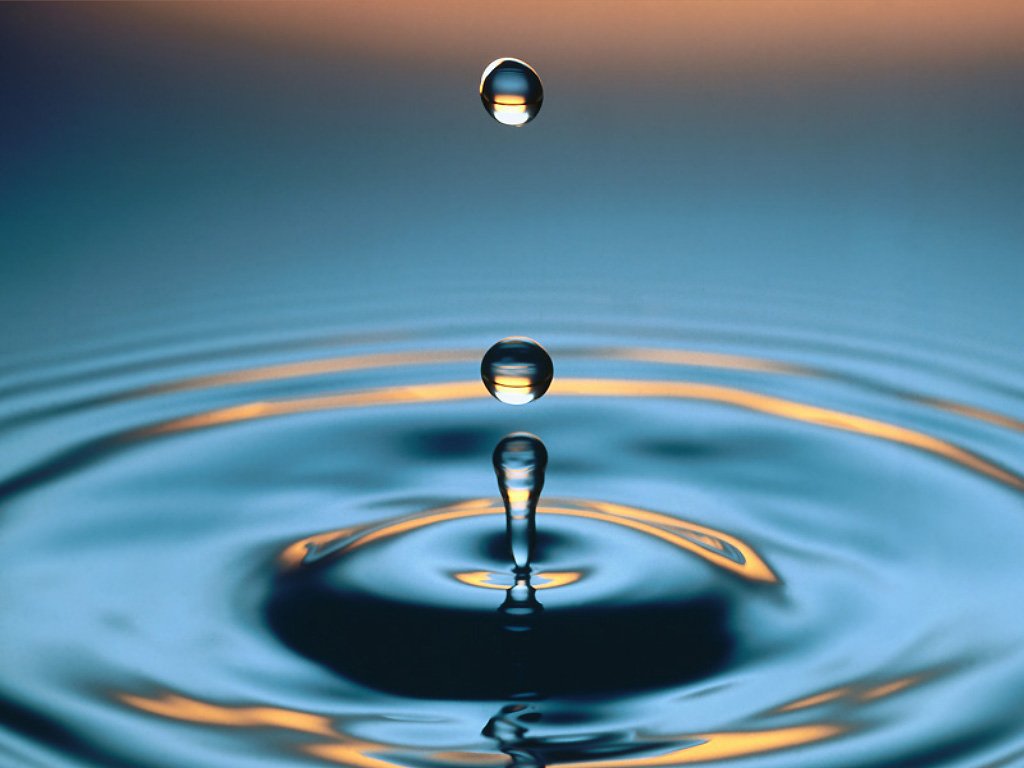 Gocce d'acqua su una foglia